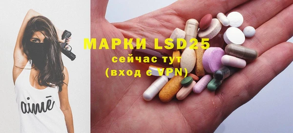 шишки Новокубанск