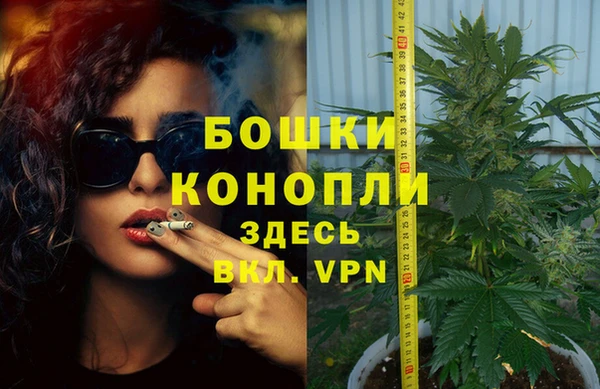 трава Новодвинск