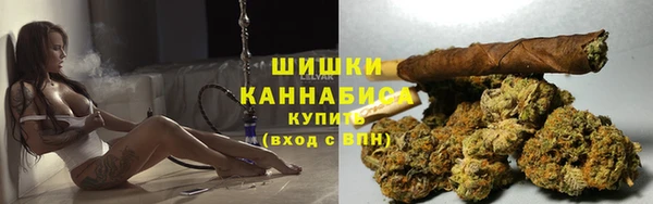 трава Новодвинск