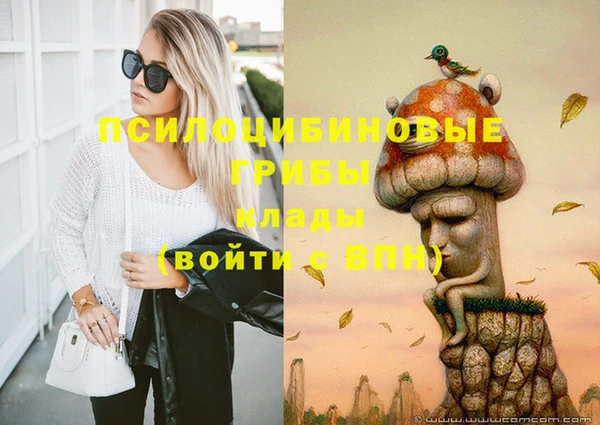 шишки Новокубанск