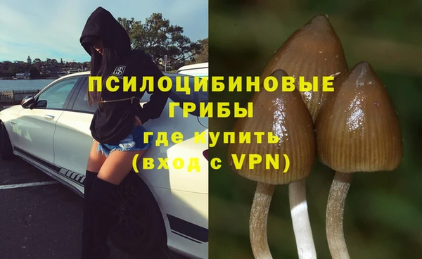 шишки Новокубанск