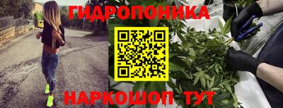 прущие грибы Беслан