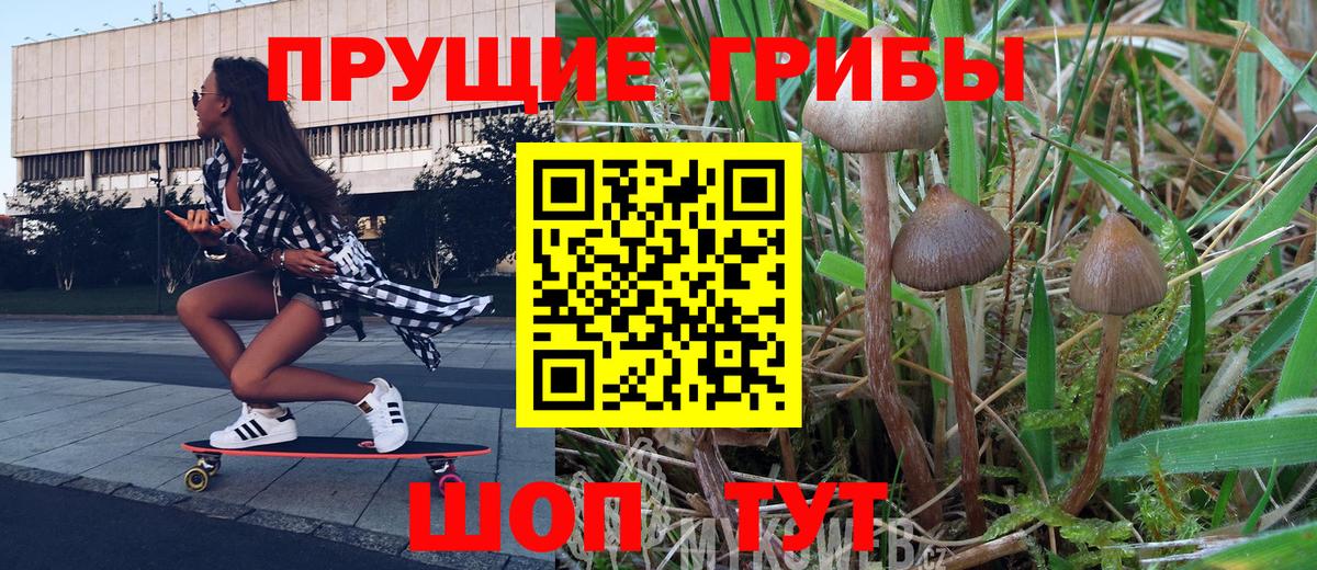 Клин  Псилоцибиновые грибы GOLDEN TEACHER  где купить наркоту  Вход с VPN 