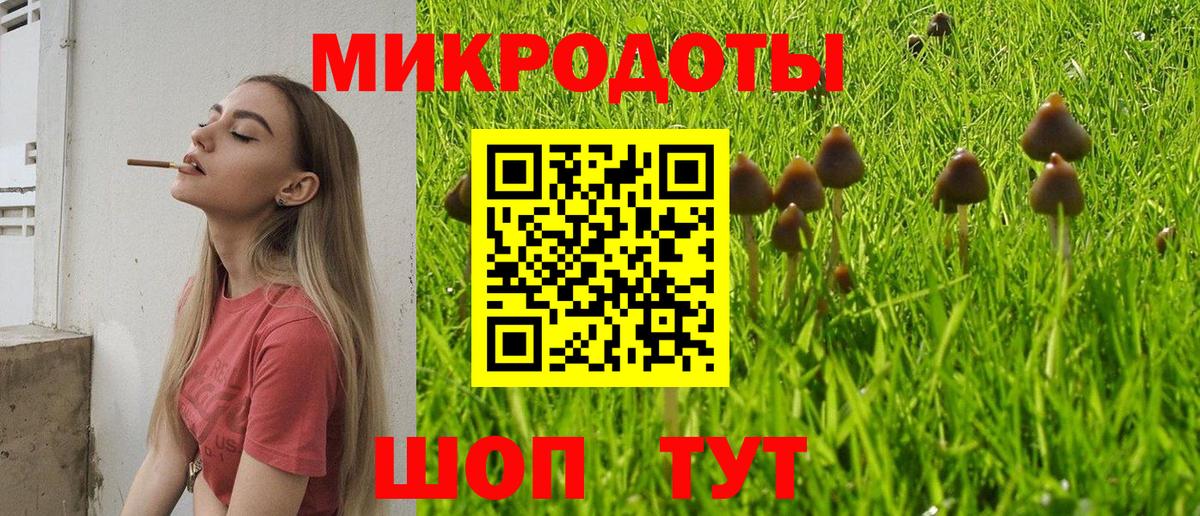 Галлюциногенные грибы GOLDEN TEACHER Клин